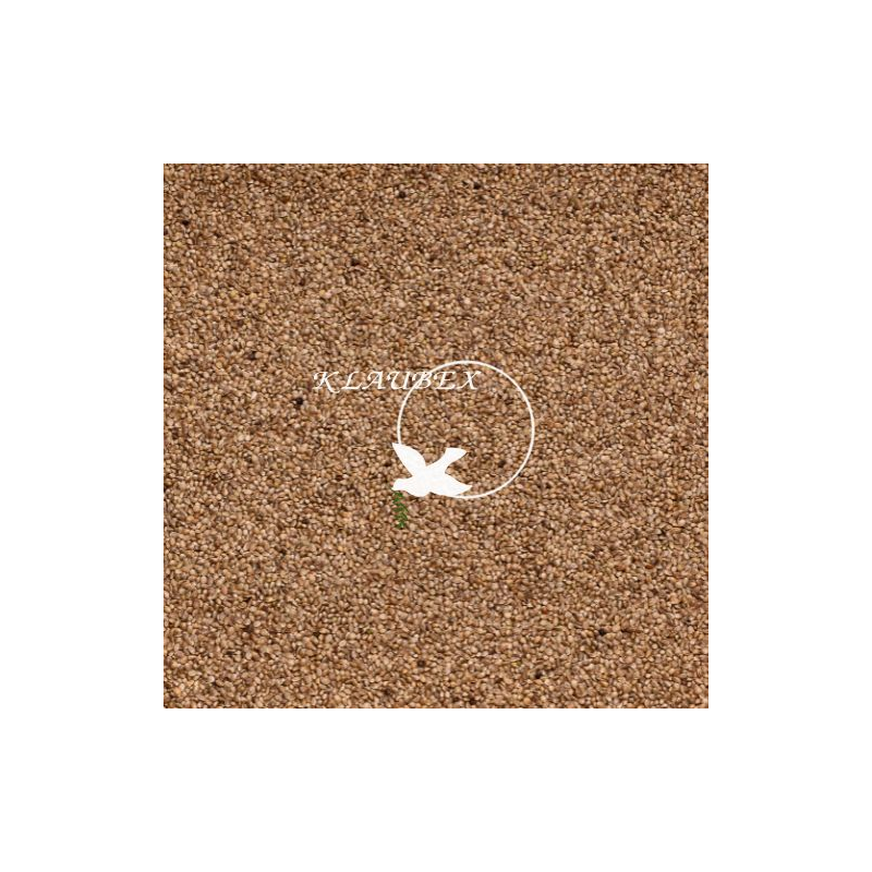 BEYERS KONOPIE 15KG / NASIONA BEYERS KONOPIE 15KG / NASIONA