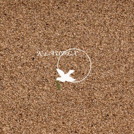 BEYERS KONOPIE 15KG / NASIONA