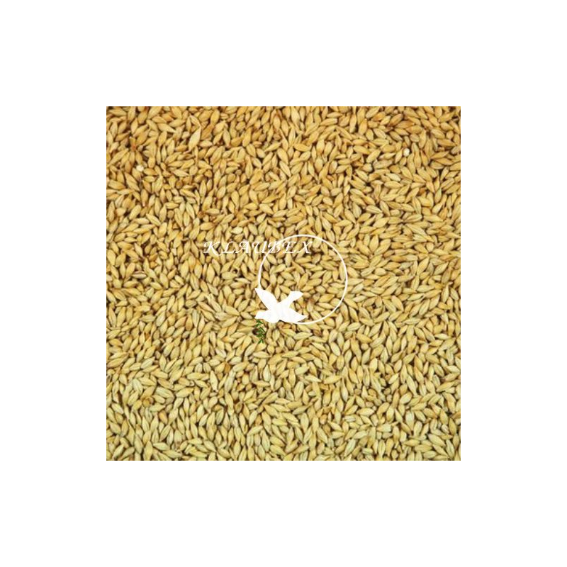 BEYERS JĘCZMIEŃ 25KG