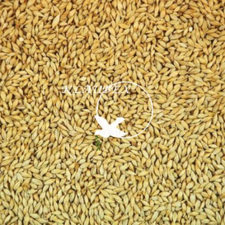 BEYERS JĘCZMIEŃ 25KG