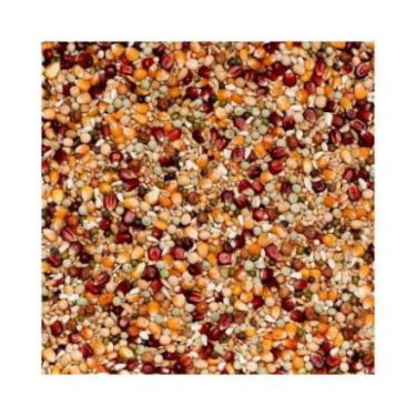 BEYERS PREMIUM JELLE JELLEMA 20KG