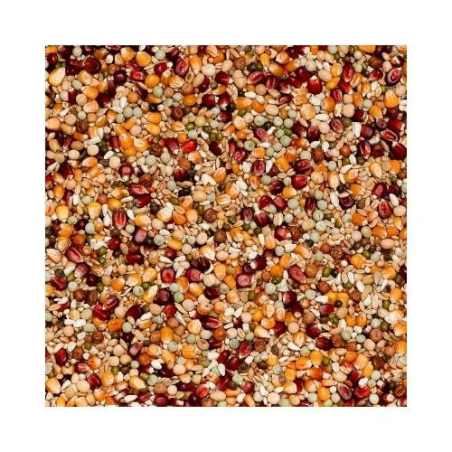 BEYERS PREMIUM JELLE JELLEMA 20KG