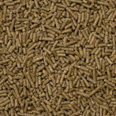 DN PREMIUM GUINEA PIG PELLETS SENSITIVE 4KG(4) / GRANULAT DLA ŚWINEK MORSKICH WRAŻLIWYCH