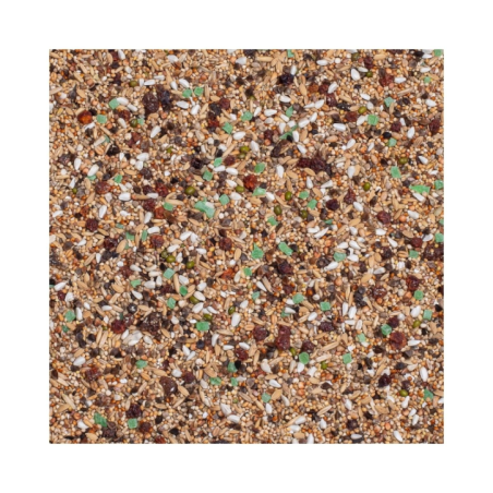 DN 73 - LARGE PARAKEETS SUPREME WITH FRUITS 20KG / PAPUGI ŚREDNIE Z OWOCAMI I JAGODAMI