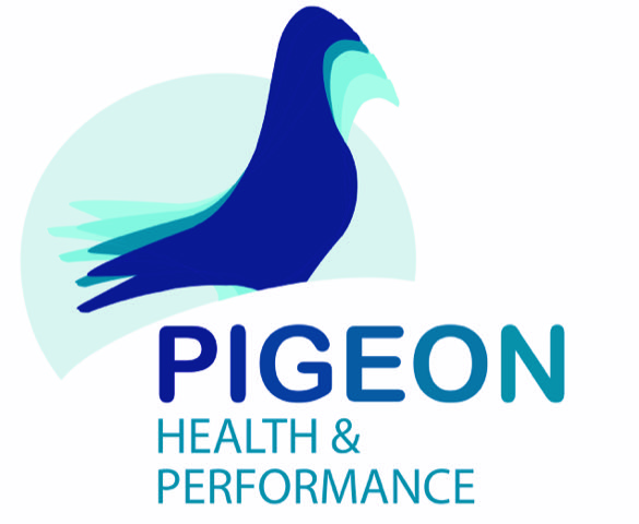 Pigeon Health & Performance