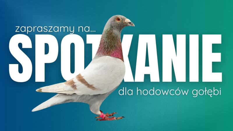 Zapraszamy na wyjątkowe spotkanie dla hodowców gołębi – 12 grudnia 2025, Katowice 